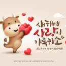 안나네 이미지