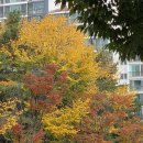 모두 고운 날 되세요 이미지