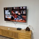 사계절자연방목농장 | [제주여행] 제주 동쪽 사려니힐스테이 길갈팜랜드 동물체험농장 힐링펜션 | 하우스말로