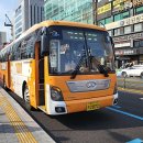 부일여객 이미지