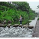 살곶이길 이미지