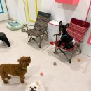 주견야독 이미지