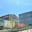 그린낚시 이미지