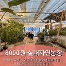 행복농장 | 갓성비 당일치기 캠핑 피크닉 감성 아이랑 실내데이트 추천 : 인천 피크닉하우스 자연체험 동물체험...
