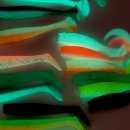 (주)파워소프트 이미지