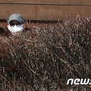 고은집 이미지