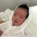 멍베스트 | 대전 중구 베스트맘 산후도우미 이모님 장점단점 솔직후기