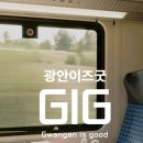 광안리 관광숙박 네이버블로그