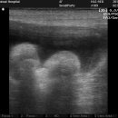 오즈동물병원 이미지