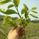 현종농장 이미지