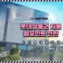(유)하나씨앤씨 | 왜 이렇게 복잡하지? 롯데백화점 상품권 지류 엘포인트 전환하기 온라인사용하는 방법 사용처까지 한눈...