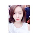 스타민박 이미지