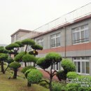 관당초등학교 이미지