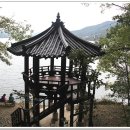 충주호 종댕이 이미지