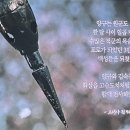 단독)) 고려거란 전쟁 산봉우리 씹어먹던 고려가 우리 선조임을 명심하자 이미지