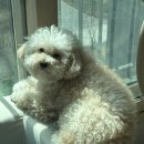 개운하개 이미지