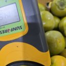 광산구-038 이미지