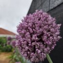 부건농장 이미지