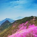 진희로-1 티스토리
