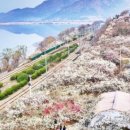 삼시세때돼지국밥 이미지