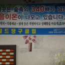 동백당구클럽 - 해운대구 마린시티3로 23 | 동백당구클럽
