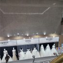 ㅈㅇ | ㅇㅇㅈvsㅈㅇvs신부야 플래너 상담 비교 (신부야 계약ㅇ)