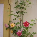 선도민박 이미지