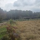 기북면행정복지센터 이미지