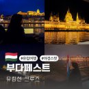 유람선 선착장 화장실 | 헝가리 부다페스트 여행 야경 야간 유람선 크루즈 일몰 시간 예약 후기