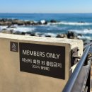 케이조경 | 아난티 부산, 아난티 앳 부산 코브 내돈내산 솔직후기, 수영장