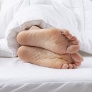 경산냉동 이미지