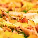 365언제나약국 이미지