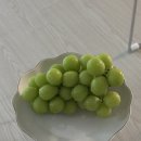 광산구-039 네이버블로그