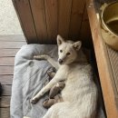 뽕구2