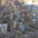 주식회사 엠케이코리아 이미지