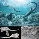 피터스짐 | 넷플릭스 <공룡들> - 증거 대 추측 [1]