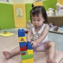 (260811) 감각,탐색 - 베베 블록을 쌓아보아요 이미지