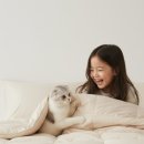 편한이불