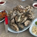 [노량진 굴찜] 노량진 굴찜 가격 , 삼배체굴 후기