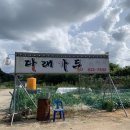 다래가든 이미지