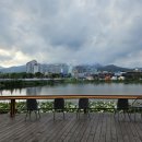 웰빙한방삼계탕