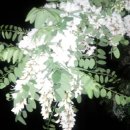 소쿠리농장 이미지