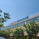 세븐일레븐(김해워터파크점) | 김해롯데워터파크 준비물 꿀팁! 세븐일레븐 생존템 가격 정리 + 외부음식 반입 가능할까?