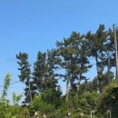 레츠 스테이 이미지