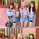 미드나잇 이미지