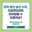 해연중학교 | 대연초 수학, 방학 동안 놓친 대연동 수학, 지금부터라도 따라잡을 수 있을까요?