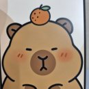 넘버세븐 | 카피바라 좋아하는 초등 아들을 위한 [넘버쓰리세븐 카피바라폰케이스] 후기