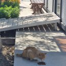 대풍바위 오토캠핑장 이미지