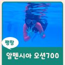 강원도 평창 알펜시아 오션700 애들데리고 갈만한 곳