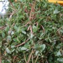 문촌약국 이미지